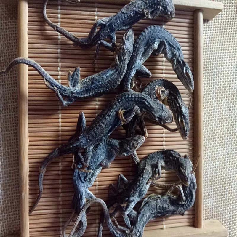 石龙子，道地药材，质优价实，品质保证，药典标准一公斤起批