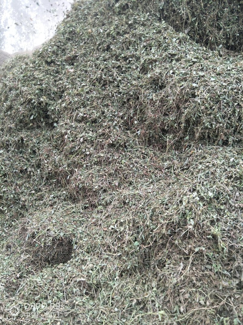 花生秧