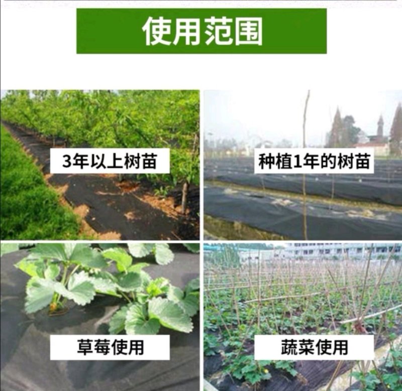 PAL抗老化防草布果园除草地布透水透气保湿可降解无污染