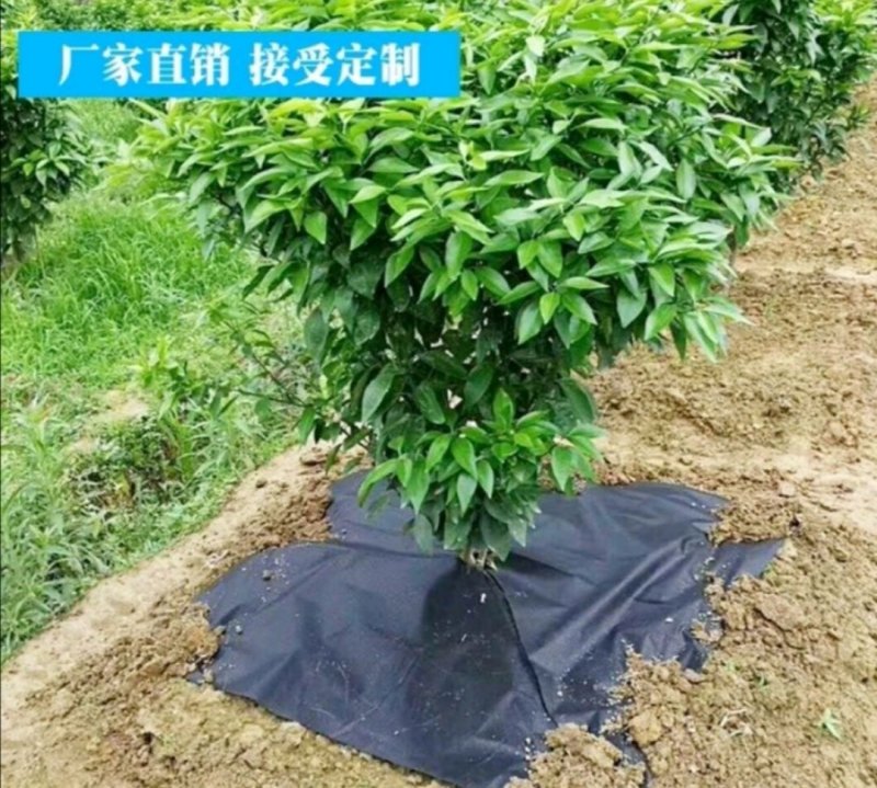 PAL抗老化防草布果园除草地布透水透气保湿可降解无污染