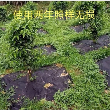 PAL抗老化防草布果园除草地布透水透气保湿可降解无污染