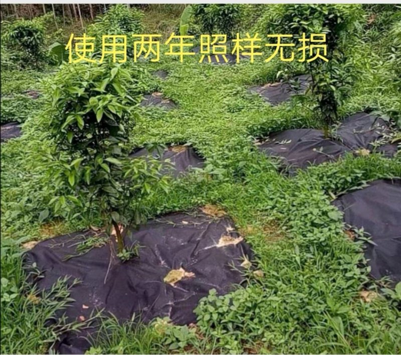 PAL抗老化防草布果园除草地布透水透气保湿可降解无污染