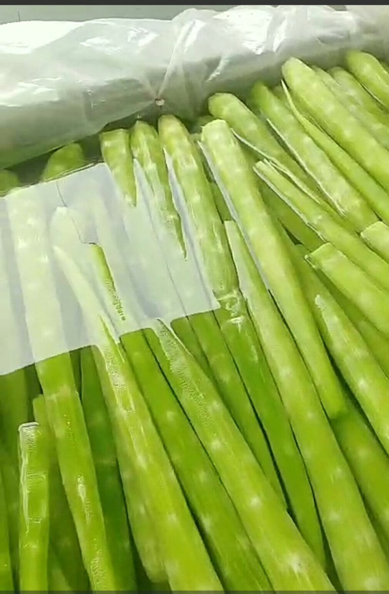 山东郯城县市场加工厂莴笋肉大量供应