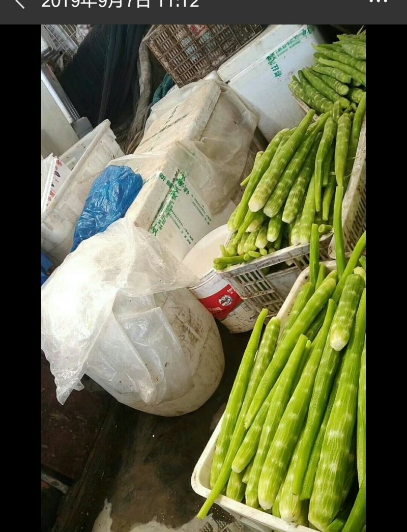 山东郯城县市场加工厂莴笋肉大量供应