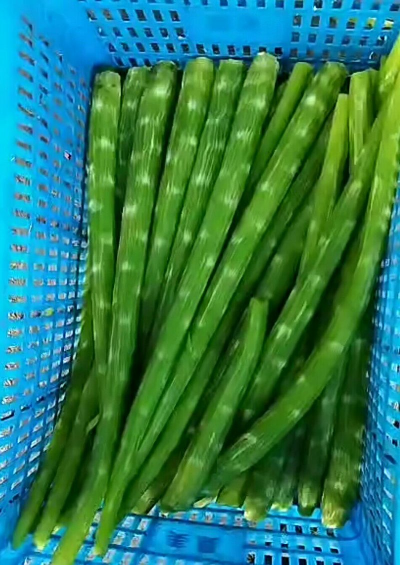 山东郯城县市场加工厂莴笋肉大量供应