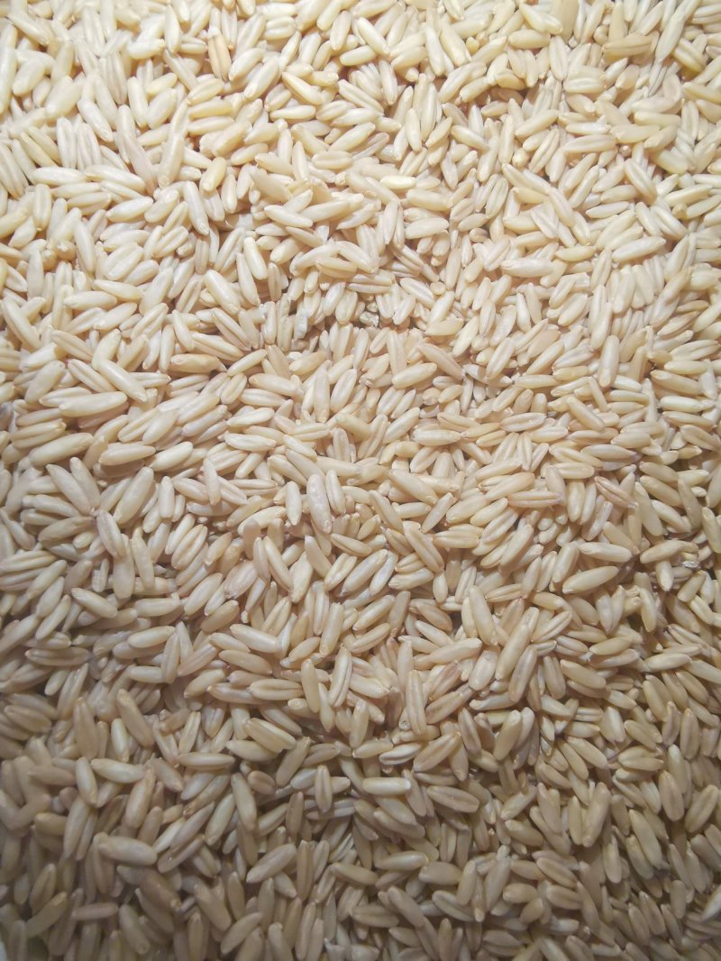燕麦米