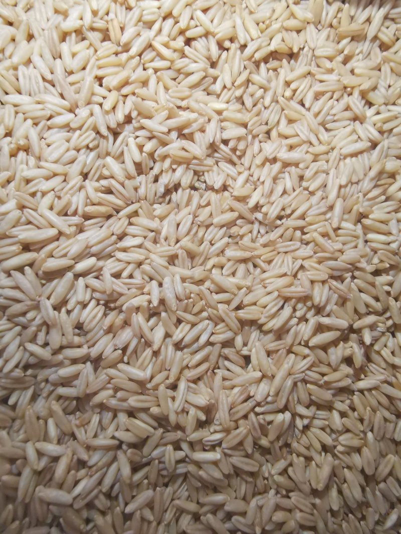 燕麦米
