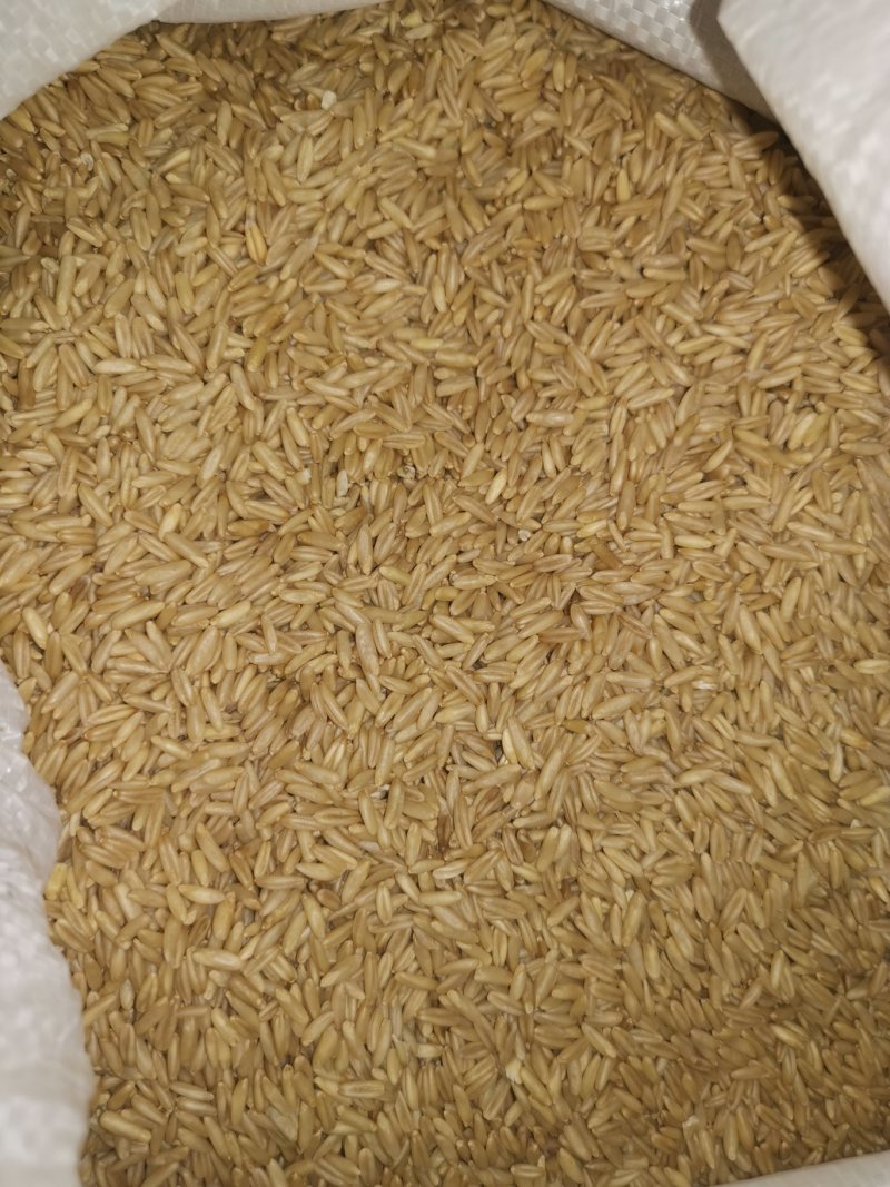 燕麦米
