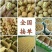 2022最新年阿克苏182薄皮核桃万吨出售，专业诚信代办