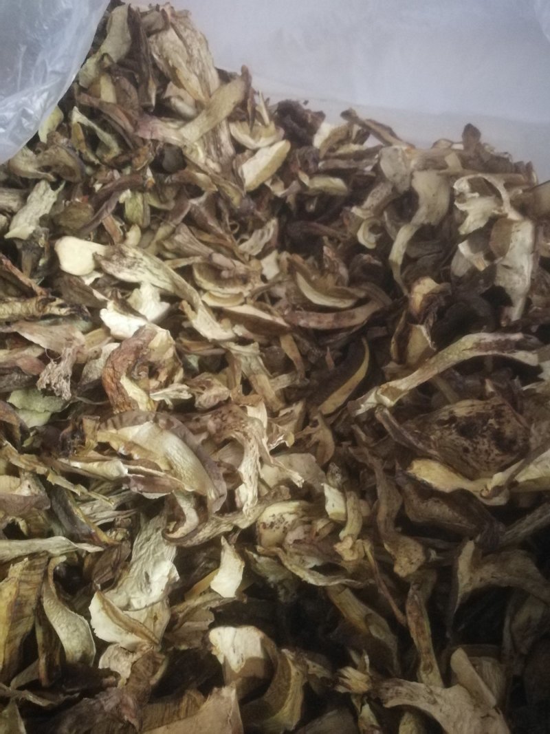 食用菌
