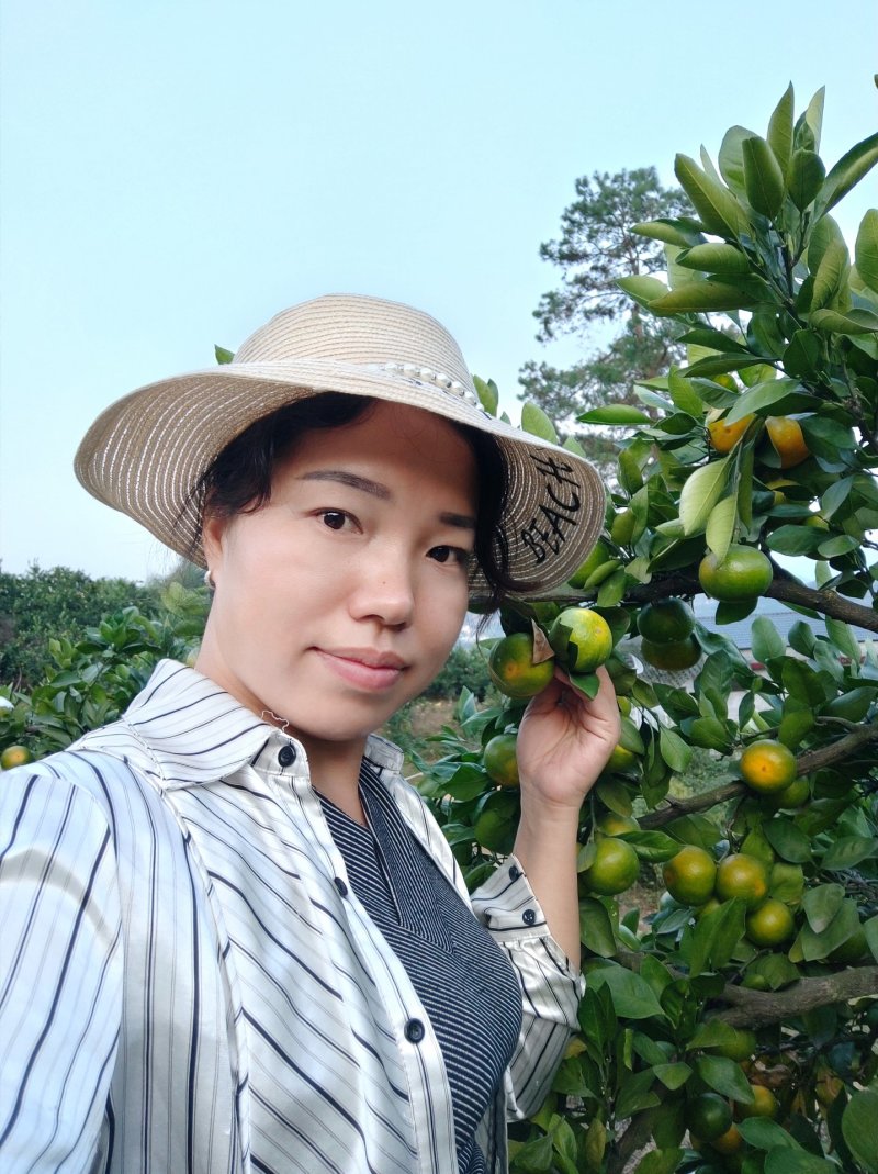 蜜桔(东江湖清江蜜橘湖南郴州)产地直供
