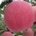 苹果🍎