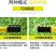 园林灌溉喷头360度自动旋转喷水喷头园艺草坪浇水屋顶降温