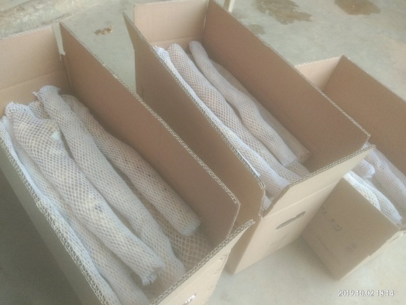 源生态种植的山药口感品质都很好