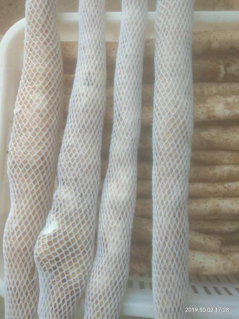 源生态种植的山药口感品质都很好