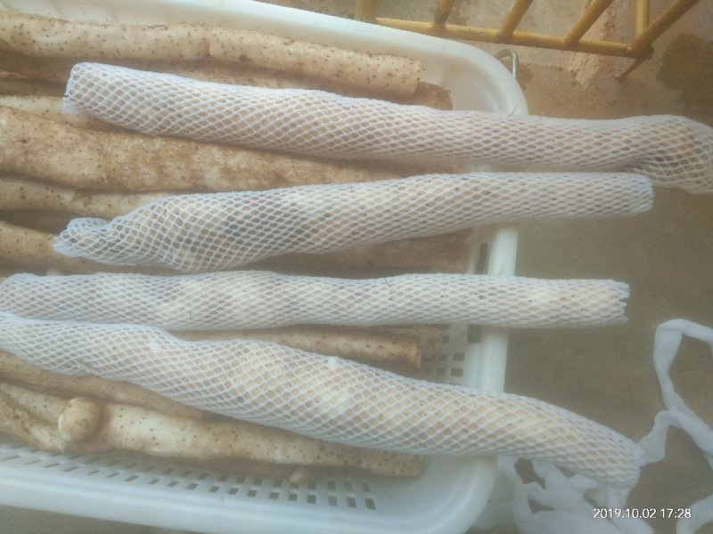 源生态种植的山药口感品质都很好