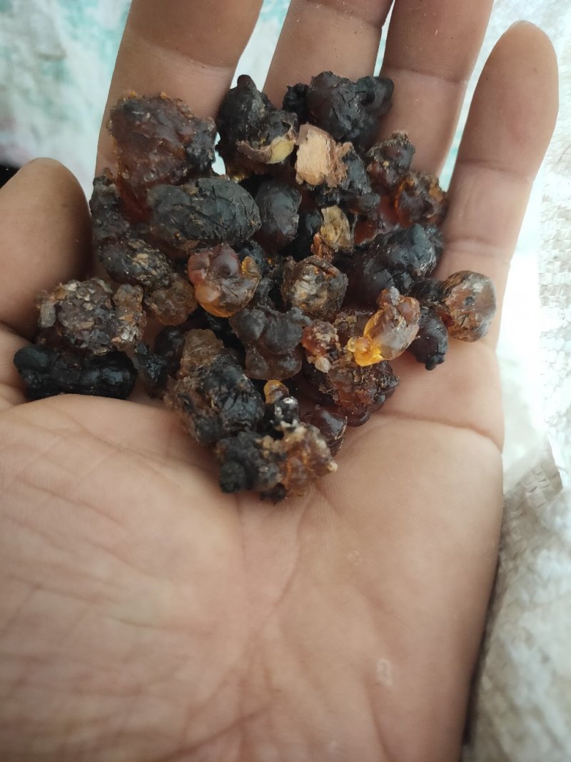 老树黑桃胶，胶型完整个大，干燥杂质少，包装储存好