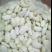 大量供应白芸豆有需要老板请联系我