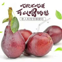 【一件代发】红啤梨软糯香甜梨子太婆梨一件代发电商专供货源