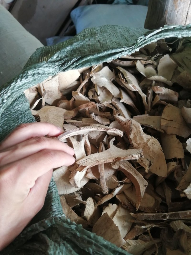 岗梅根，秤星木，鲜切，无硫