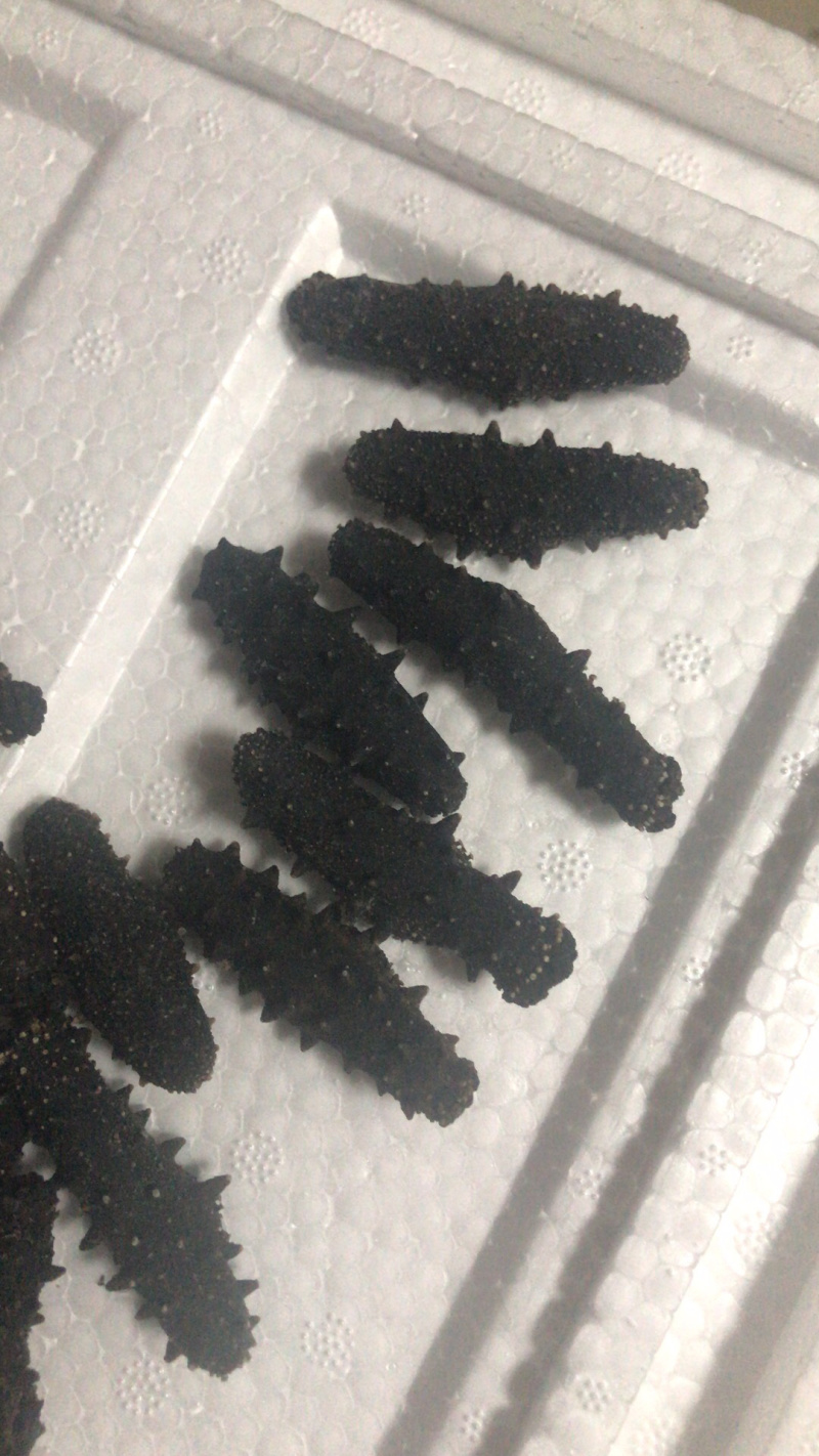 刺参干品省内包邮