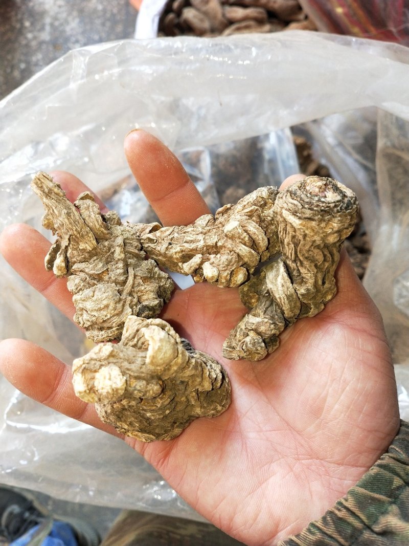 当归云南当归头1斤包邮无硫当归中药材