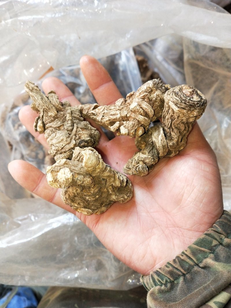 当归云南当归头1斤包邮无硫当归中药材