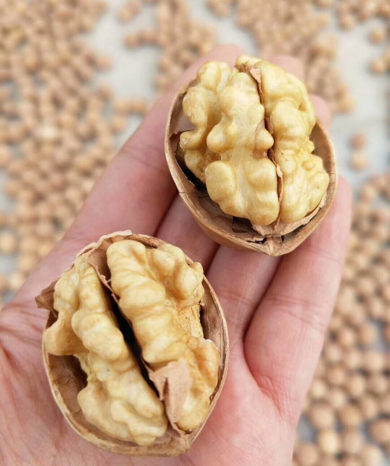新疆185纸皮核桃支持一件代发整车落地配