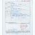 油茶苗，两年生嫁接油茶小杯苗30公分/65公分高