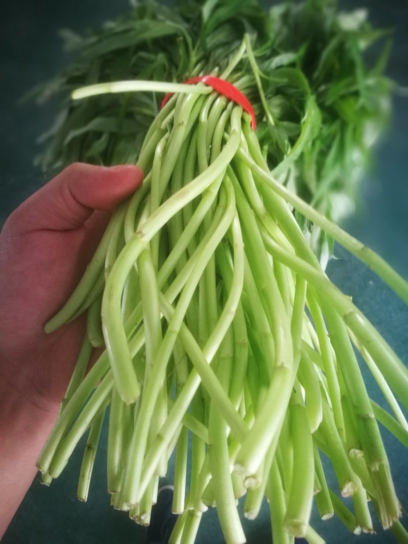 芦篙芦蒿藜蒿泥蒿蒿子2020年新鲜上市特产现货