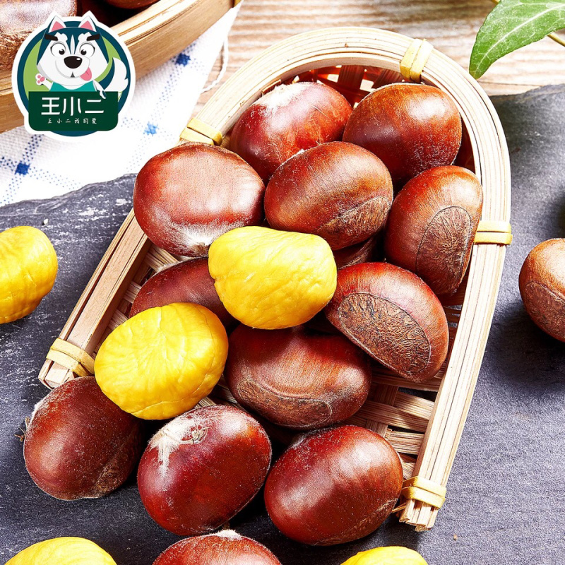 新鲜板栗生板栗现货批发毛栗子大粒野生板栗