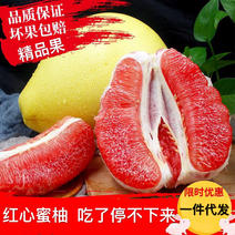 【有好货】10斤红心蜜柚子红柚孕妇新鲜水果批发一件