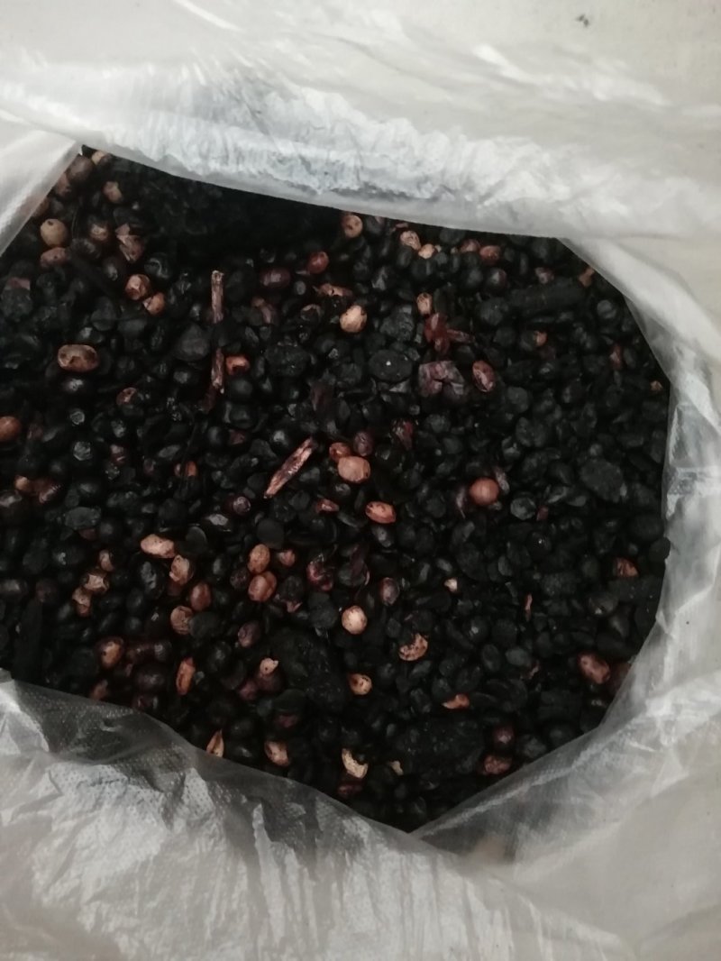 发酵大豆