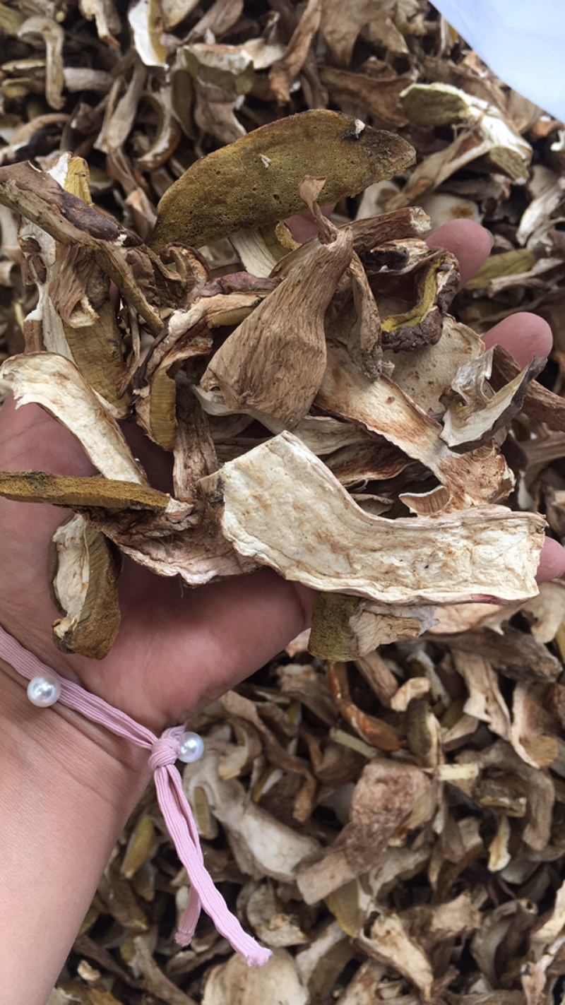 牛肝菌美味牛肝菌大腿蘑菇