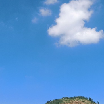 山地出租出售