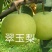 山农酥梨树苗秋月柱状梨保纯度死苗补发现挖现卖