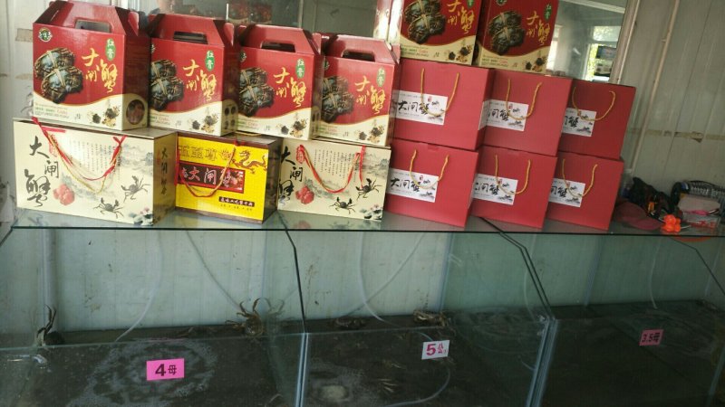 高邮湖大闸蟹批发及零售（10只礼盒装）招代理、电商平台