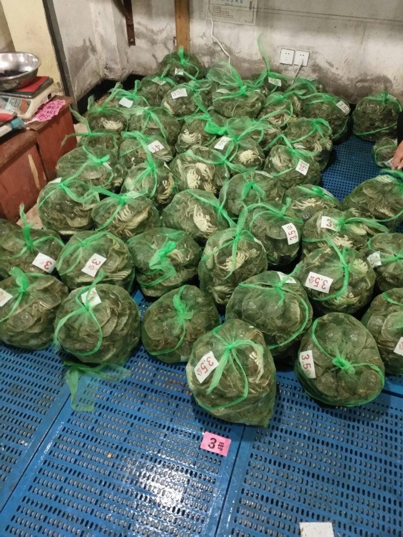 高邮湖大闸蟹批发及零售（10只礼盒装）招代理、电商平台