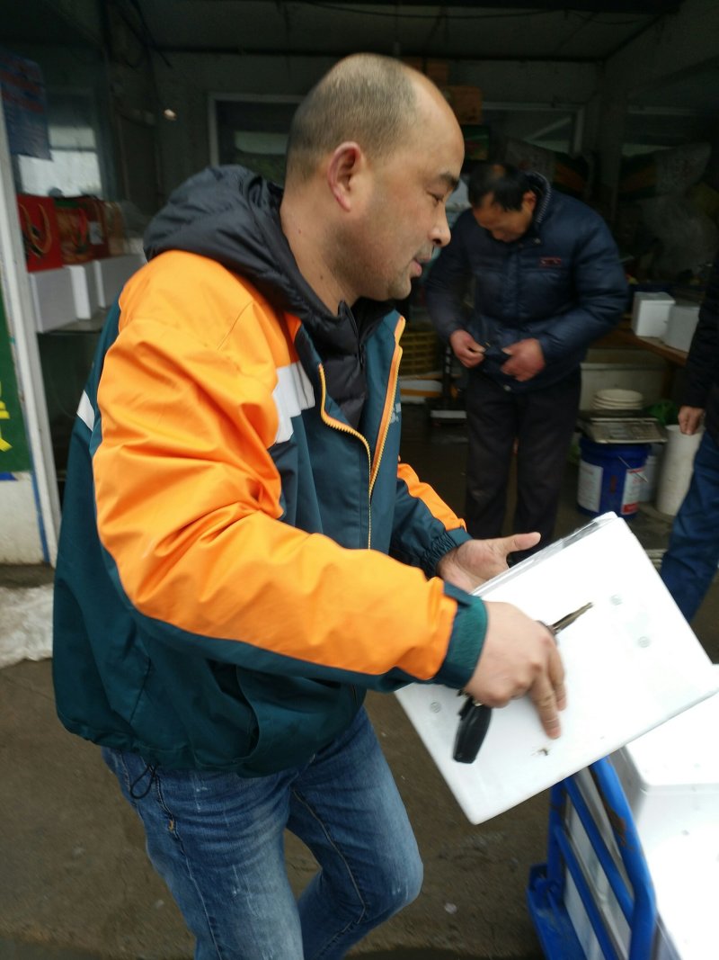 高邮湖大闸蟹批发及零售（10只礼盒装）招代理、电商平台