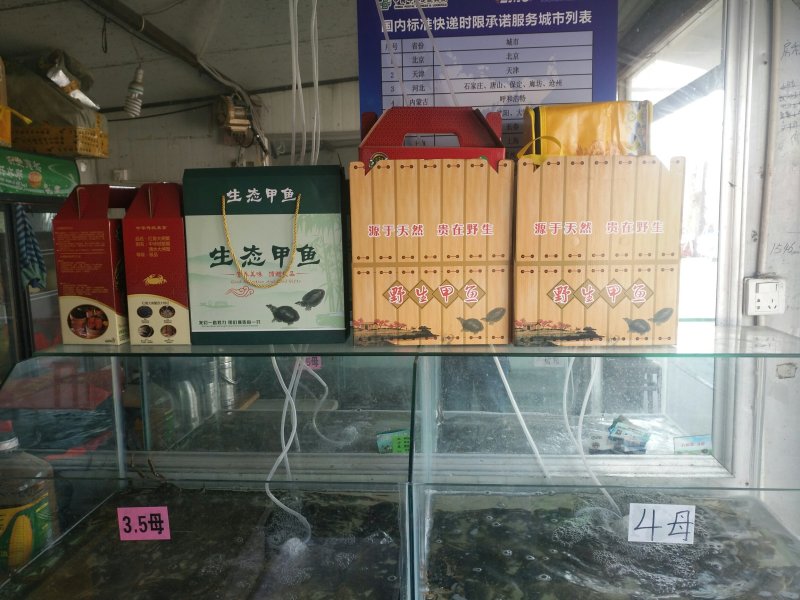 高邮湖大闸蟹批发及零售（10只礼盒装）招代理、电商平台