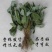 淫羊藿叶500g野生淫羊藿茶仙灵脾草药淫羊藿泡酒男性滋