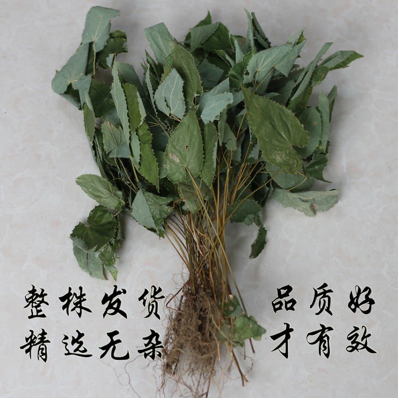 淫羊藿叶500g野生淫羊藿茶仙灵脾草药淫羊藿泡酒男性滋
