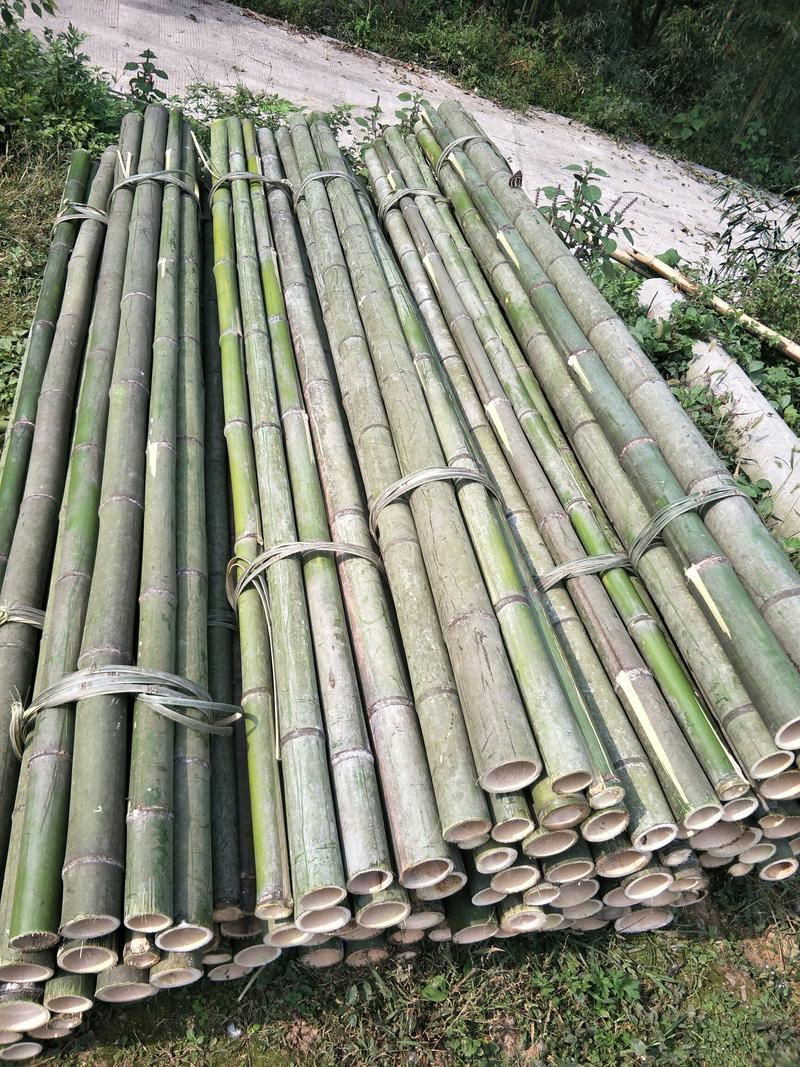菜架竹，大棚竹，扶树竹竿，白夹竹斑竹出售1.1米至7米