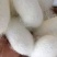 蚕茧大货，批发