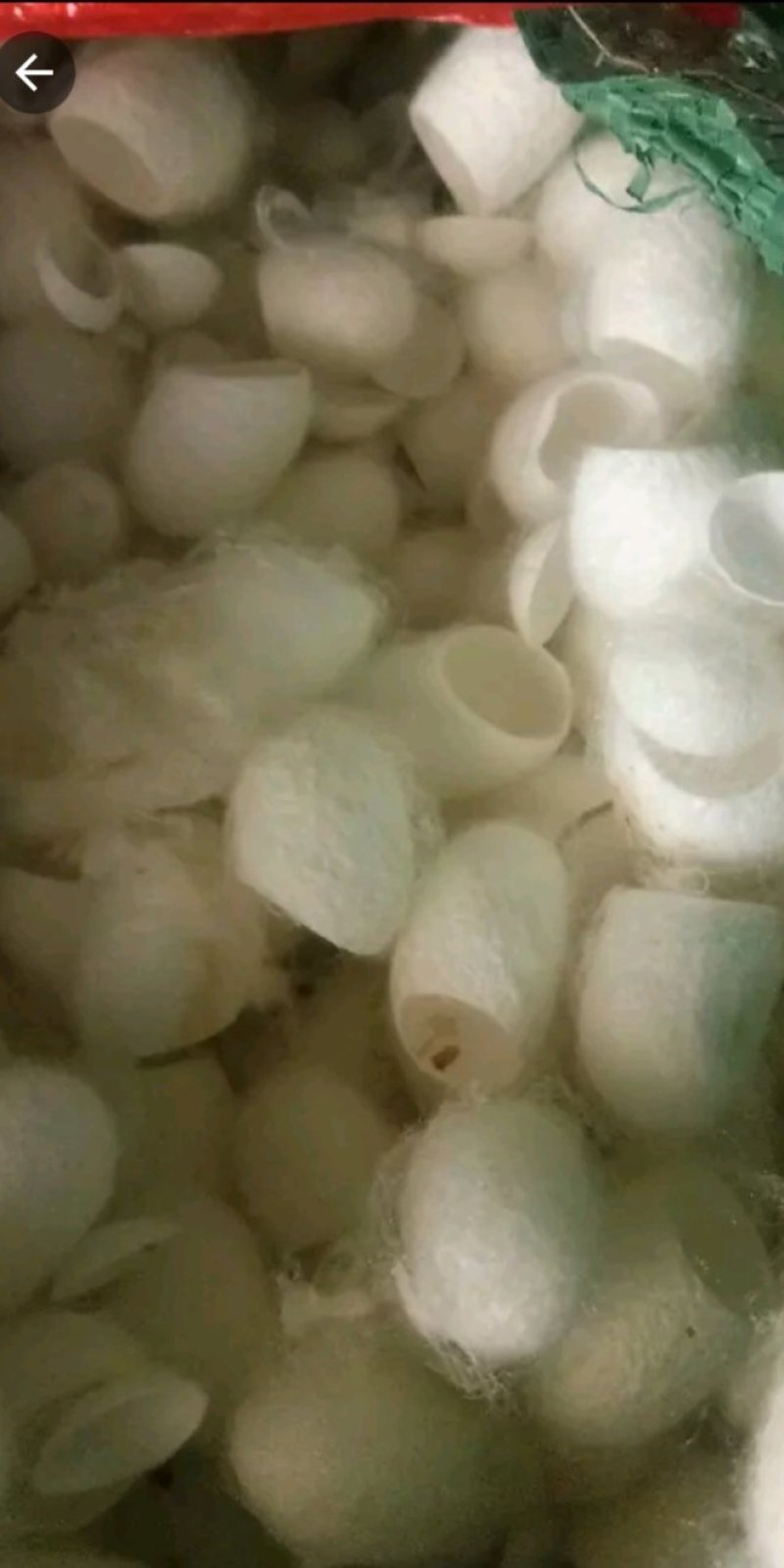 蚕茧大货，批发