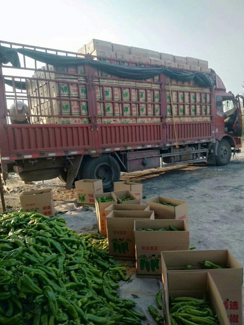 精品三零一大量上市有要的抓紧联系量大保证质量