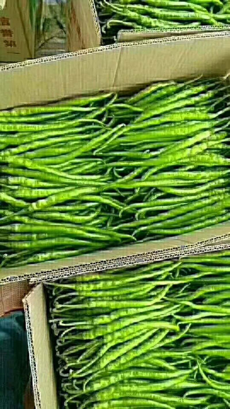 精品三零一大量上市有要的抓紧联系量大保证质量
