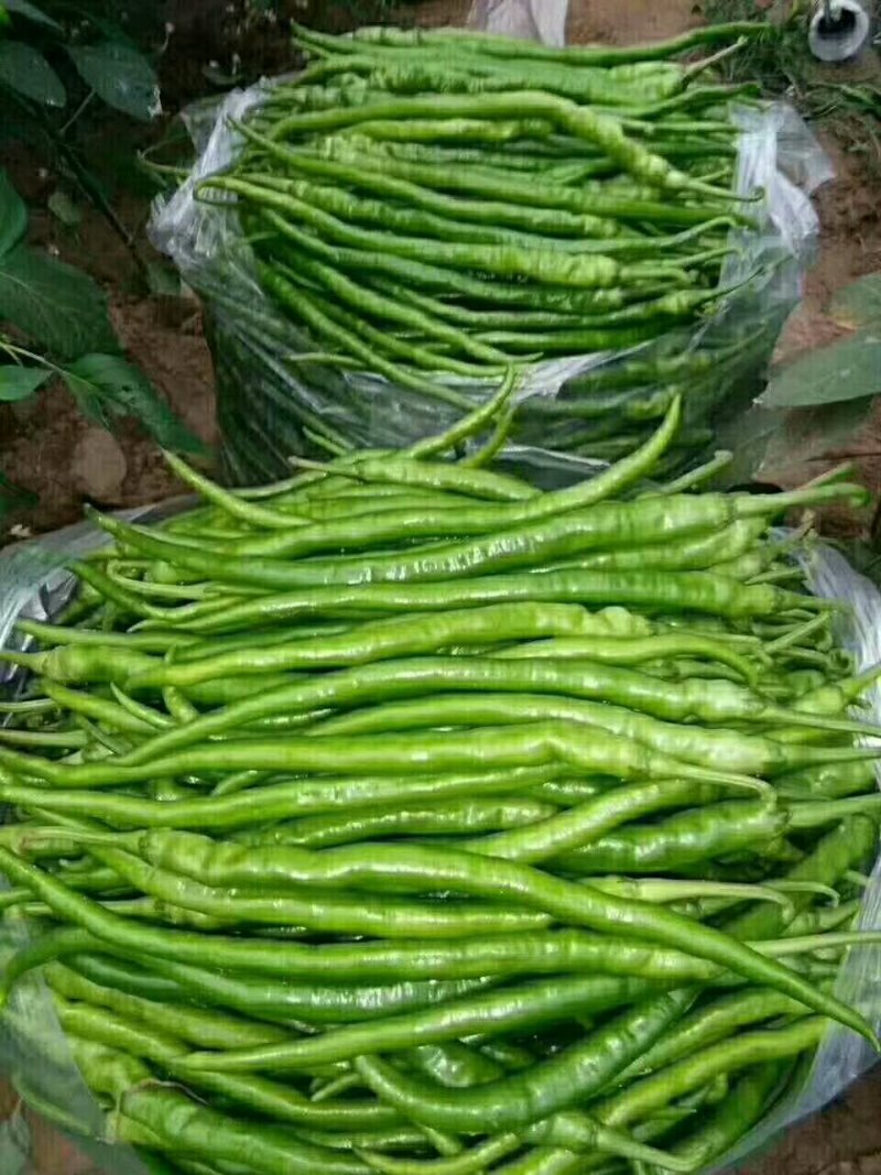 精品三零一大量上市有要的抓紧联系量大保证质量