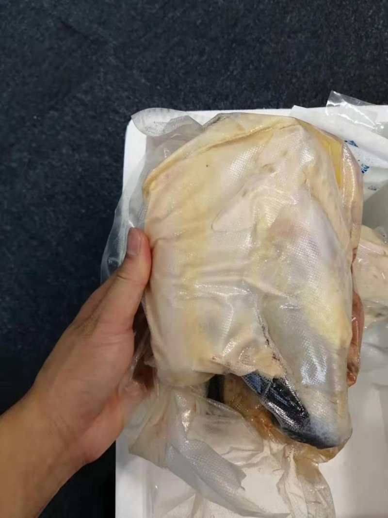 鲜土鸡