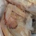 鲜土鸡